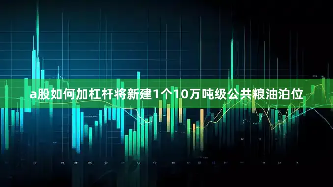 a股如何加杠杆将新建1个10万吨级公共粮油泊位