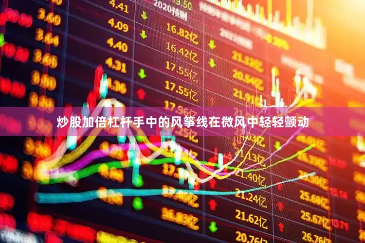 炒股加倍杠杆手中的风筝线在微风中轻轻颤动
